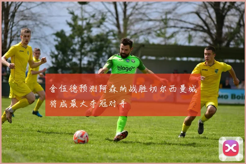 舍伍德预测阿森纳战胜切尔西曼城将成最大夺冠对手