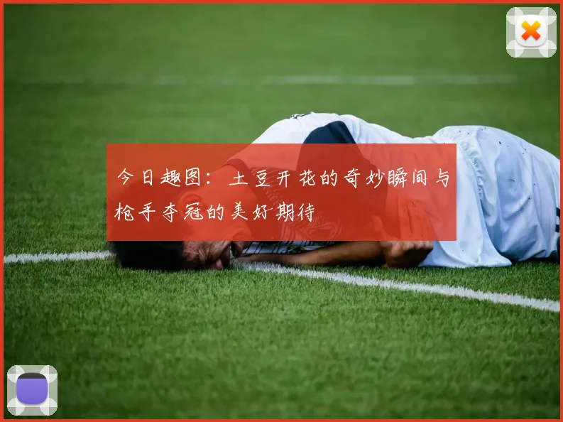 今日趣图：土豆开花的奇妙瞬间与枪手夺冠的美好期待