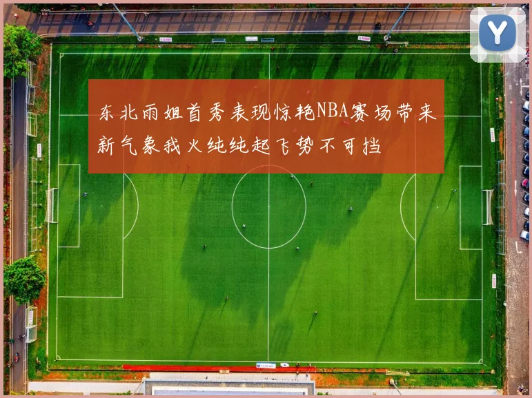 东北雨姐首秀表现惊艳NBA赛场带来新气象我火纯纯起飞势不可挡