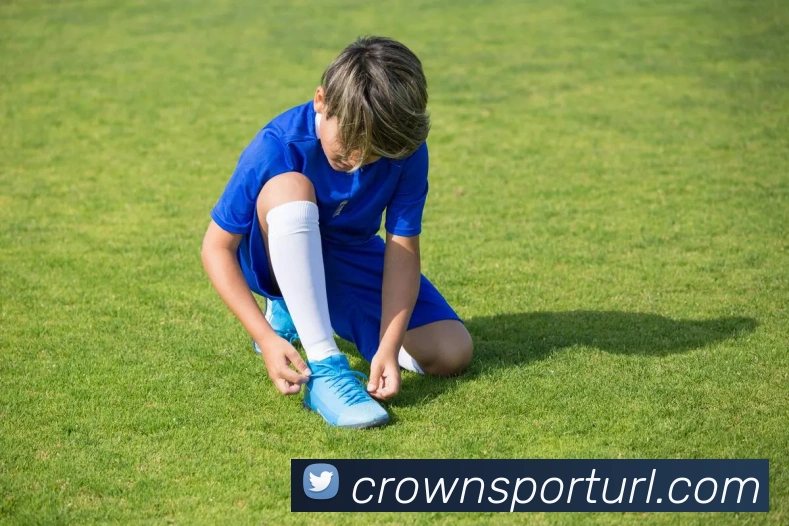 皇冠体育平台生态图